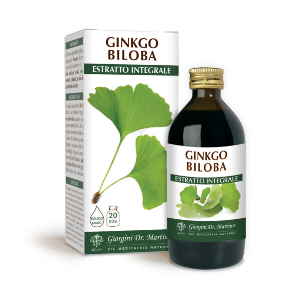 Ginkgo biloba